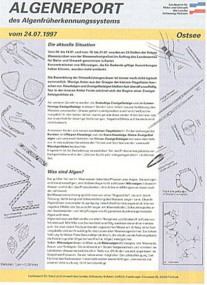 Der Algenreport