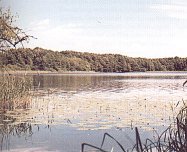 Grammsee