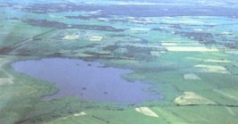Hohner See