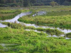 Überschwemmung im Eidertal