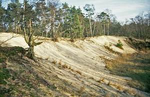 Große Düne im Naturschutzgebiet