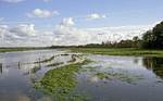 Sommerhochwasser in der Obersterniederung