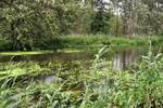 Fluss bei der grünen Brücke